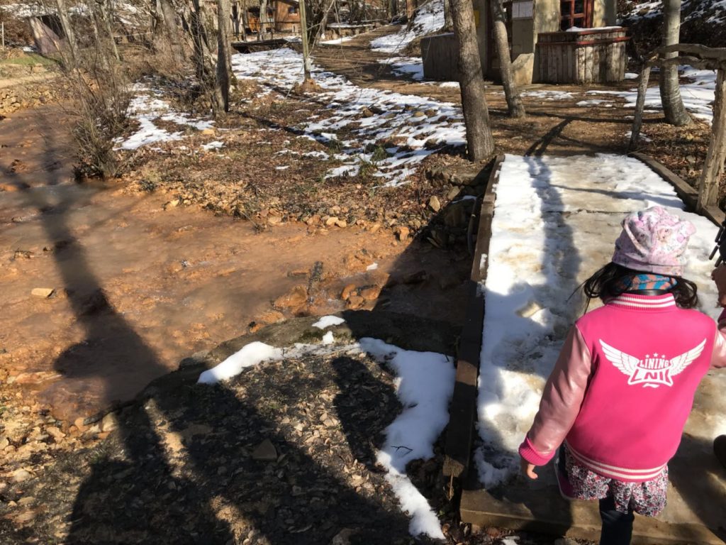 girl walking in the little woods